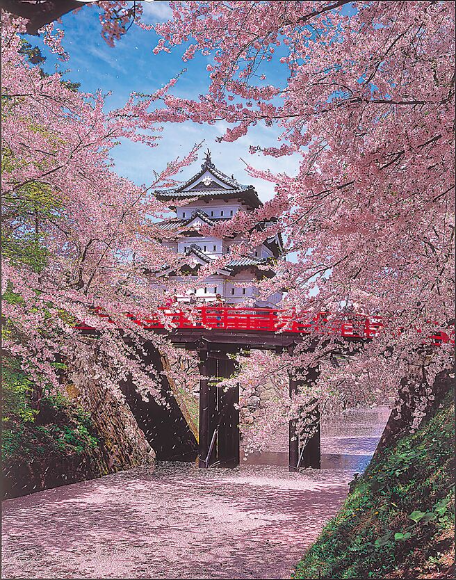 邁入第34年的世邦旅遊，疫情過後積極布局旅遊市場，世邦旅遊總經理呂汶中表示，今年元月在農曆春節的加持下，營收僅達疫前的一半，若要完全恢復，預期最快也要到2024年，看好金字塔高端旅遊市場，已積極開發主題式產品，今年以長榮直飛青森的包機，免拉車即可欣賞東北賞櫻名所（見圖）。（世邦旅遊提供）