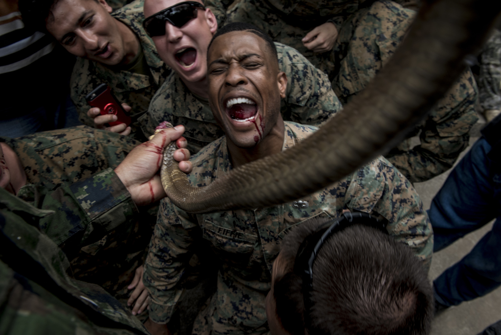 2018年2月19日，海军陆战队第3师第3侦察营，在金色眼镜蛇演习中的丛林生存训练期间喝眼镜蛇血。在野外求生的情况下，饮用蛇血可以用来保持个体水分，同时蛇肉可以用作营养来源。（资料照／DVIDS）(photo:ChinaTimes)