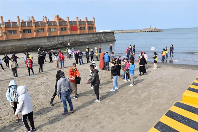 北市福智佛教基金會4日在苗栗縣後龍鎮外埔漁港放流4萬尾魚苗，參與者接力將魚苗傳接流放入海。（謝明俊攝）