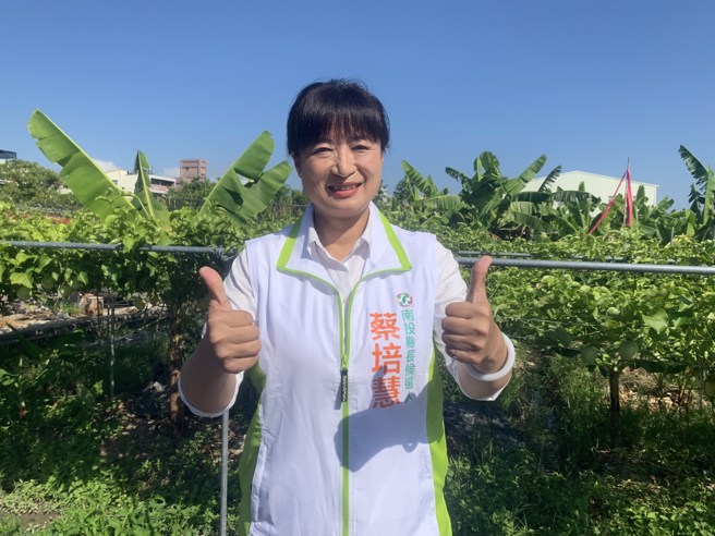 蔡培慧。（資料照片）