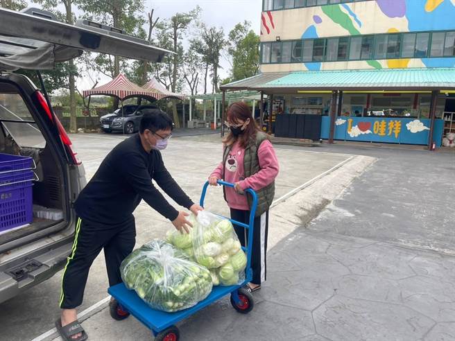新北市青农张文栋为了帮助更多弱势族群，2016年起与第一银行合作，举行「第一好新鲜」绿色志工活动，7年来捐出2.5公吨蔬菜给育幼院等弱势单位。（农业局提供）