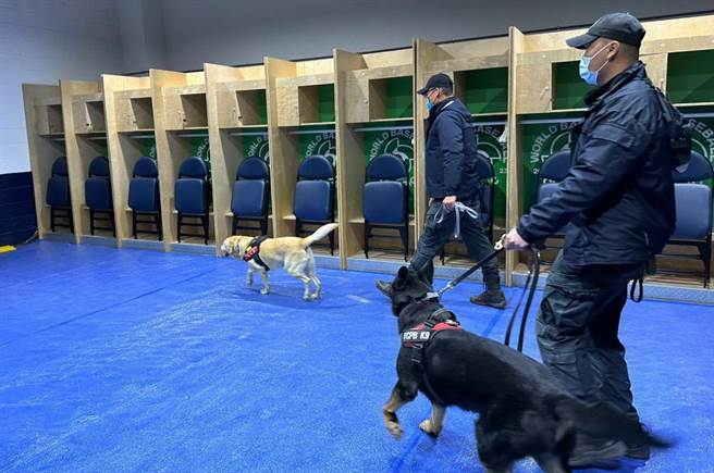 捍卫世界棒球经典赛，中市刑大警犬队高规格场检。（台中市警局提供／陈淑芬台中传真）