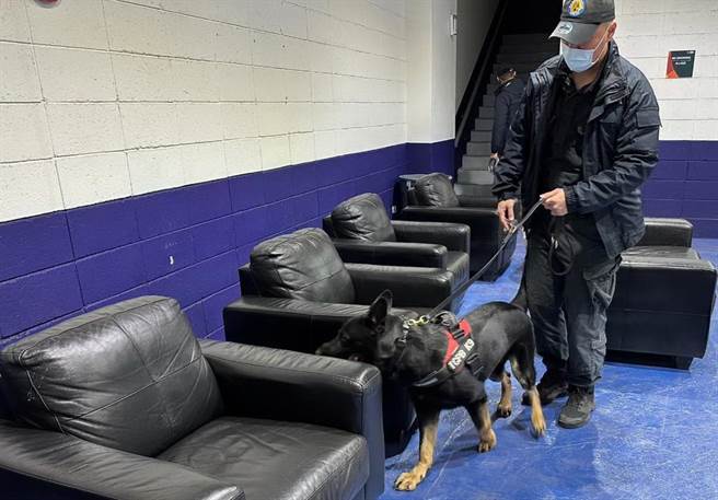 捍卫世界棒球经典赛，中市刑大警犬队高规格场检。（台中市警局提供／陈淑芬台中传真）