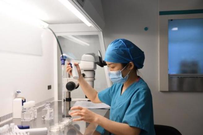 胚胎师正准备解冻后胚胎培养的培养皿。（图／长江日报）