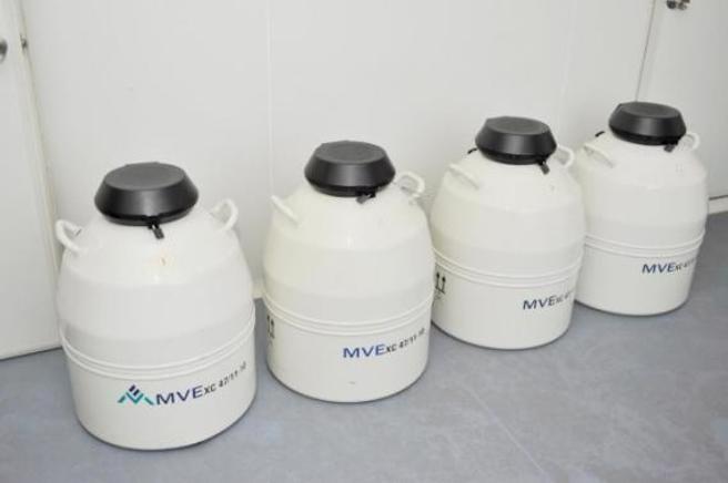 冷冻胚胎可长期储存，但时间过长可能带来生育风险以及社会伦理问题，专家一般建议冷冻期限不超过5年。图为冷冻胚胎储存罐。（图／长江日报）