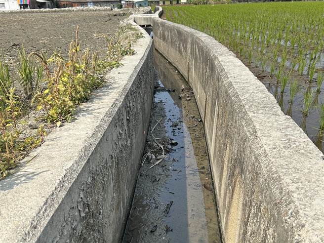 台中霧峰地區農田驚傳缺水灌溉危機，目前實施分區供水，由於適逢春耕期間，農田缺水灌溉，農友紛紛叫苦。（台中市議員李天生服務處提供／潘虹恩台中傳真）