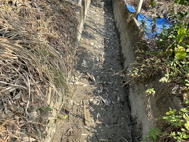 台中霧峰地區農田驚傳缺水灌溉危機，目前實施分區供水，由於適逢春耕期間，農田缺水灌溉，農友紛紛叫苦。（台中市議員李天生服務處提供／潘虹恩台中傳真）