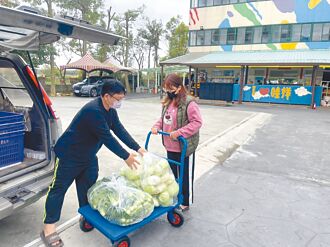新北青農助弱 7年捐2.5公噸蔬菜