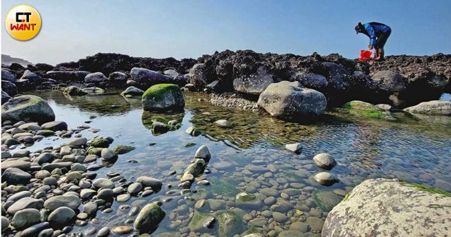   海尾仔潮间带生态丰富、水质乾净，民眾常在此捡拾小章鱼或珠螺，更是孩童环境教育的最好课堂。（图／周志龙摄）