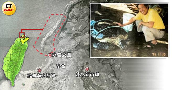 淡水「海尾仔」潮间带原连绵数公里，还有绿蠵龟在此栖息，部分潮间带却因新市镇工程而被填平。（图／读者提供，CTWANT合成）