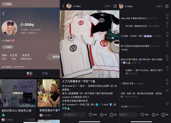 蔡天鳳生前一則貼文引發網友感嘆。(圖/截圖自蔡天鳳小紅書)