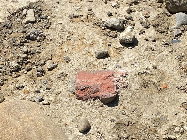 新竹市长高虹安6日查看新竹渔港国际风筝赛场红火蚁防治状况时，发现草皮土层有砖块、玻璃等废弃物。（陈育贤摄）