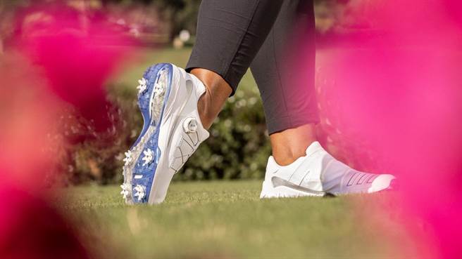 adidas Golf ZG23鞋款分成人与青少年款，配色以白色为基础进行变化，轻量稳定又兼顾时髦外型。（adidas Golf提供）