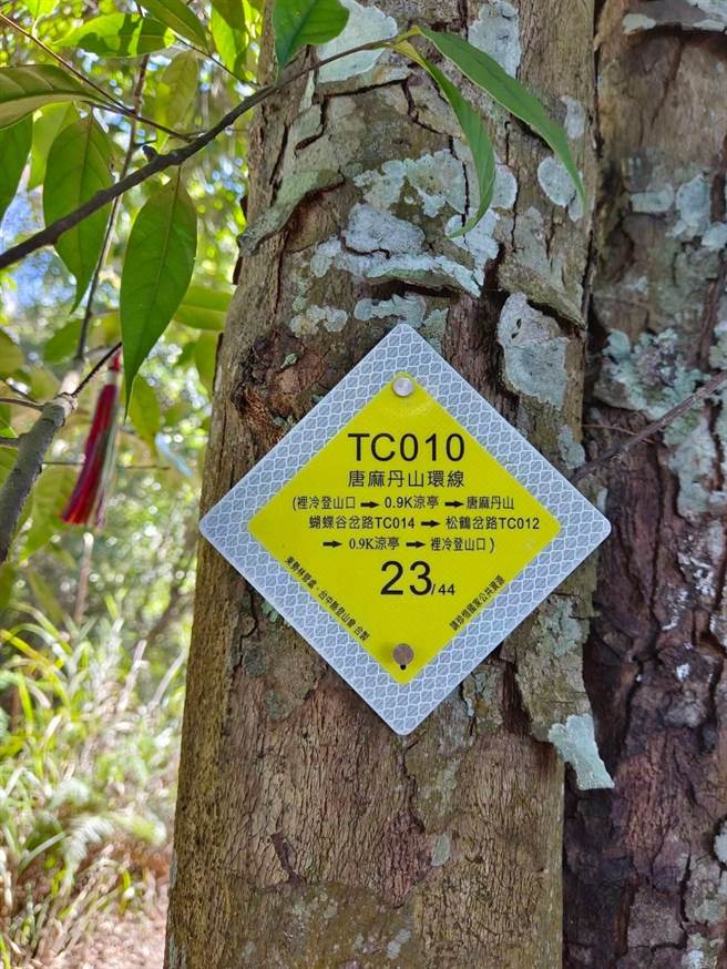 东势林区管理处邀集相关单位进行务实检讨，一致达成加强登山教育、结合QR code宣导、易迷途点加设牌示等共识。（东势林区管理处提供）