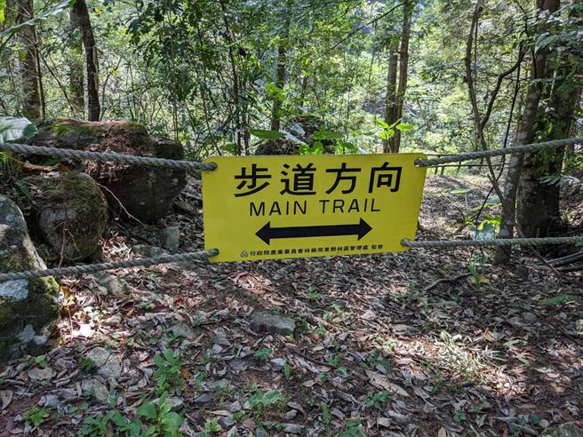 东势林区管理处邀集相关单位进行务实检讨，一致达成加强登山教育、结合QR code宣导、易迷途点加设牌示等共识。（东势林区管理处提供）