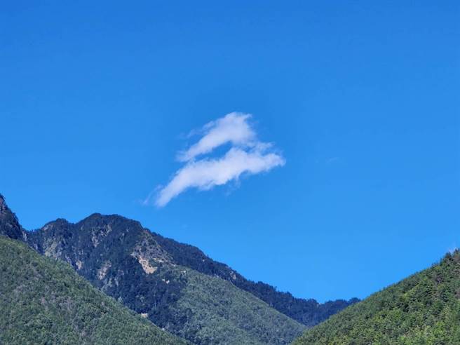 武陵农场樱花季于2月底圆满落幕，为期22天共吸引12万2308人次造访。（武陵农场提供／陈淑娥台中传真）