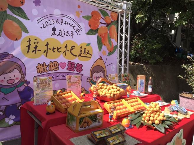 台中市太平区枇杷产量、品质称霸全台。（冯惠宜摄）