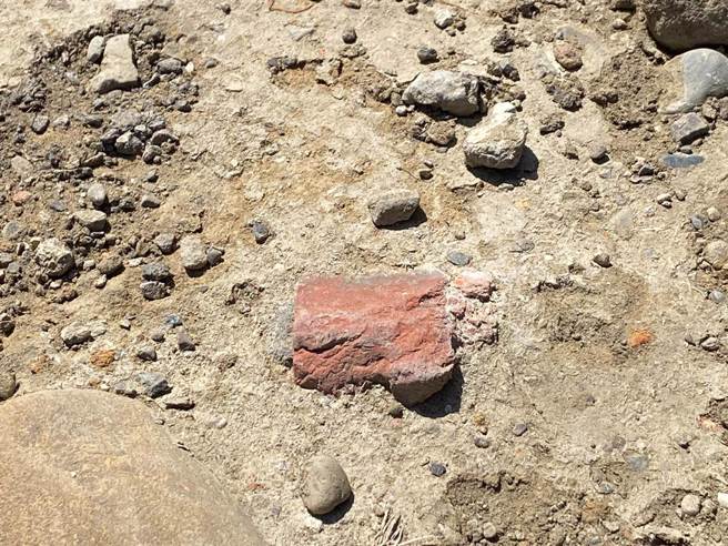 新竹市長高虹安查看新竹漁港國際風箏賽場紅火蟻防治狀況時，發現草皮土層有磚塊、玻璃等廢棄物。（陳育賢攝）