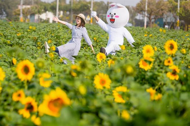 鹿草乡长严佩瑜化身向日葵代言人，欢迎民眾假日扶老携幼来赏花，打卡、拍网美照。（严佩瑜提供∕吕妍庭嘉义传真）