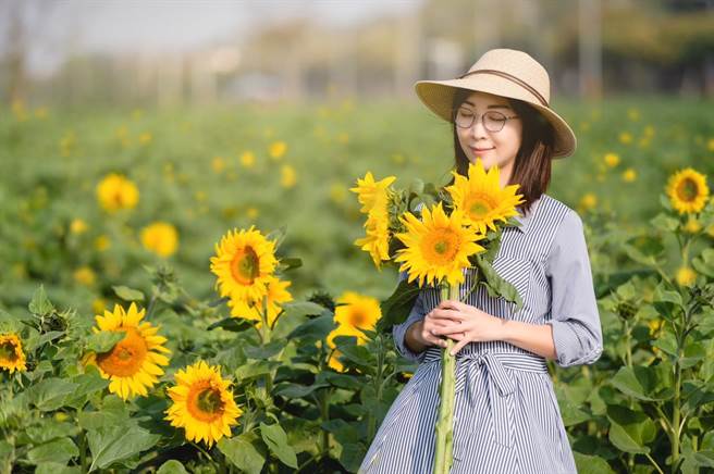 鹿草乡长严佩瑜化身向日葵代言人，欢迎民眾假日扶老携幼来赏花，打卡、拍网美照。（严佩瑜提供∕吕妍庭嘉义传真）