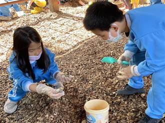 幼童幫百隻甲蟲幼蟲搬新家 盼三峽中山公園成復育場