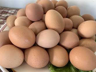 一天要用20萬顆蛋？每到假日用量就大增 花蓮雞蛋產量不樂觀