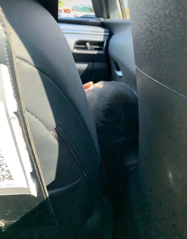 单亲运将「1违规」求乘客高抬贵手，椅背贴文泣苦衷惹哭网友。(翻摄脸书爆废公社)