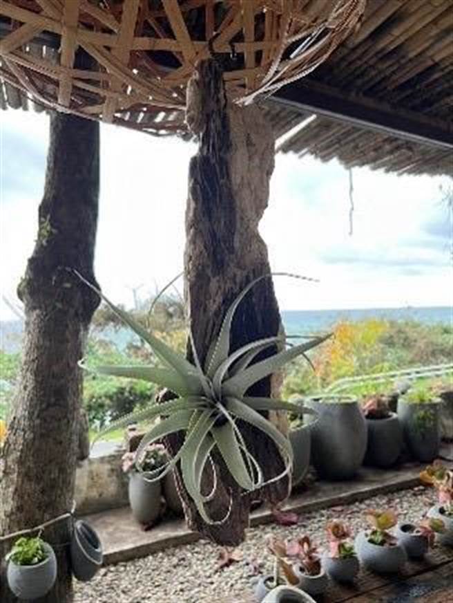 东管处将于3月办理5场次海废循环再利用课程，其中开放3场次给有兴趣民眾免费报名参加。（东管处提供／蔡旻妤台东传真）