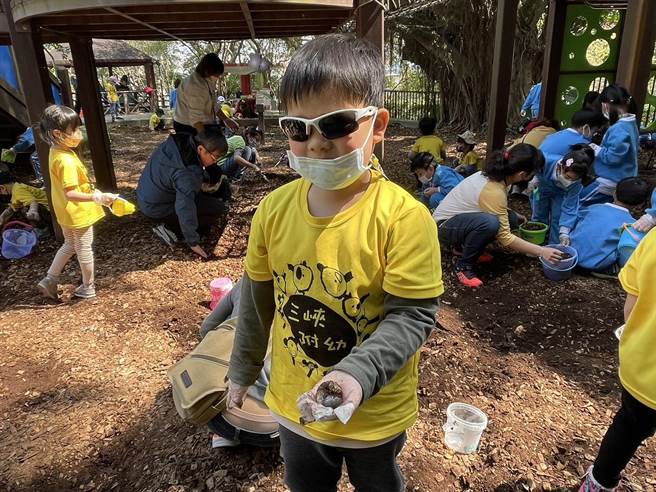 新北市三峡中山公园儿童游戏区有上百只甲虫幼虫，三峡区公所另设置甲虫观察区，今邀集学童一起帮忙甲虫幼虫搬家。（蔡雯如摄）