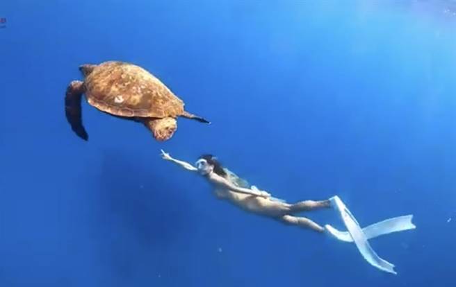 全台首次官方「遊艇帆船遊程比賽」7日起進入網路票選階段，鵬管處表示，投票至17日止，參與投票的民眾有機會獲得500元超商禮券。（鵬管處提供／謝佳潾屏東傳真）