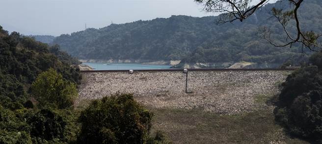 苗栗縣鯉魚潭水庫蓄水量已降5成1。（謝明俊攝）