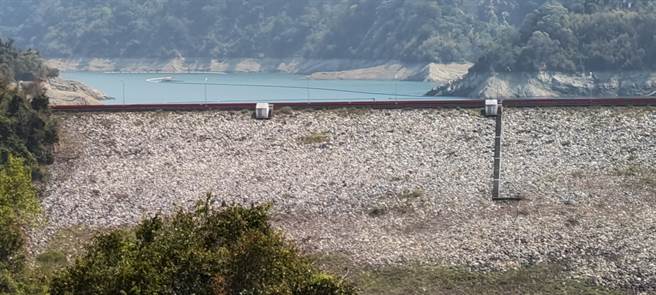 苗栗縣鯉魚潭水庫蓄水量已降5成1。（謝明俊攝）