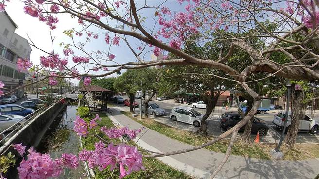 台南新营绿圳步道改善后，整体视野变得开阔及更加绿意盎然。（台南市政府都发局提供／张毓翎台南传真）