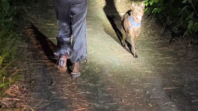 1名女子称要往宜兰，却在台东县卑南乡东兴村产业道路散心迷路。（读者提供／蔡旻妤台东传真）