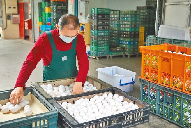 台湾面临史上最久的缺蛋危机，至今每日鸡蛋需求量缺口仍难缓解。图为送货厂商在现场理货。（本报资料照片）