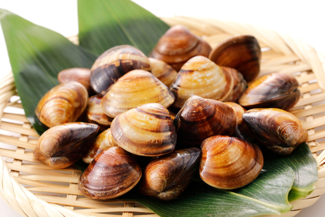 煮蛤蜊前加入一滴蜂蜜，可大大提升鲜度，味道更好。（示意图／Shutterstock）