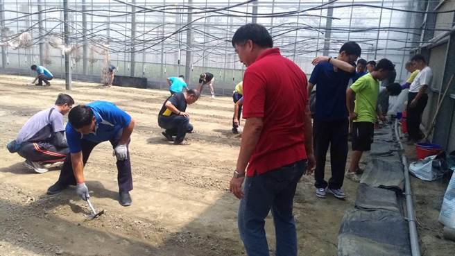 愈来愈多退除役官兵返回云林老家种田，云林县荣民服务处开班指导温室种植技巧。（云林荣服处提供）