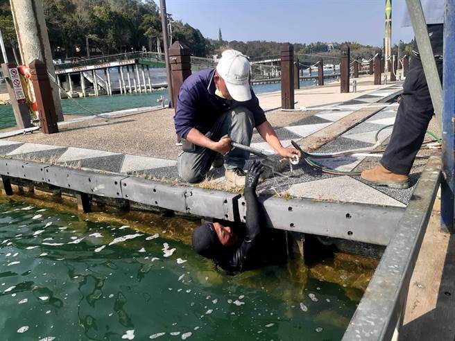 潜水人员潜入水中，拆除朝雾码头1号浮排固定在水面下的设施。（民眾提供／杨静茹南投传真）