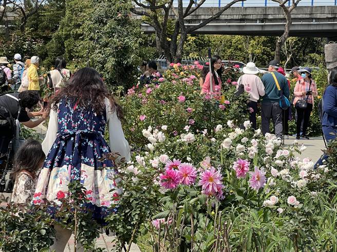 台北玫瑰展吸引许多民眾争相合照。（李奇叡摄）
