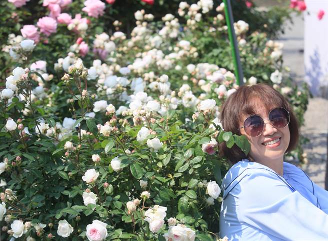 2023台北玫瑰花展8日登场，逾800个品种玫瑰花与玫瑰花海超吸睛，民眾趁好天气前往参观留影。（张铠乙摄）