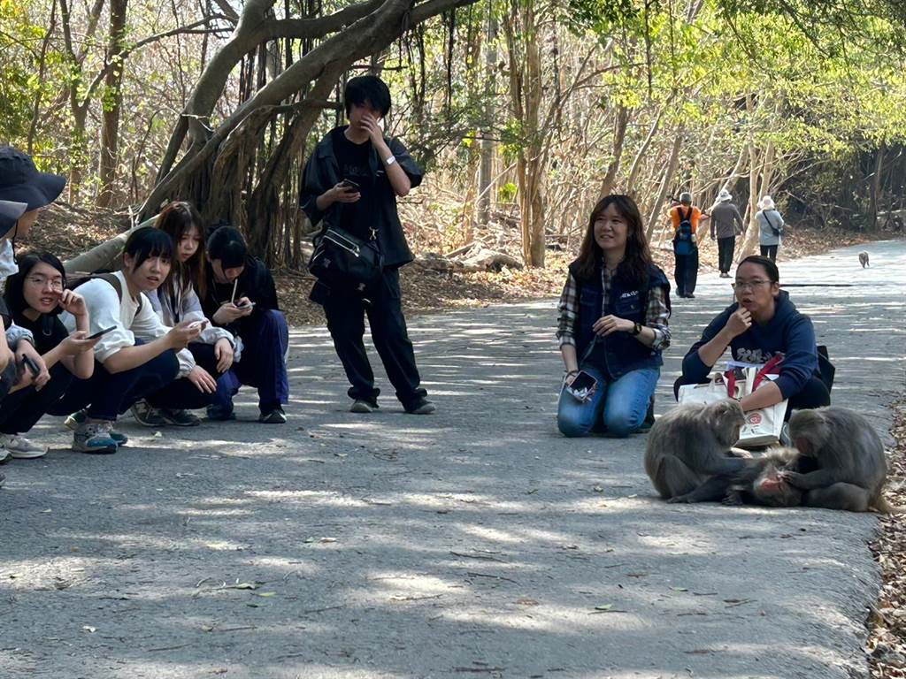 高雄醫學大學心理學系學生與日本交流生爬上柴山，與獼猴席地而坐。（高雄醫學大學提供／楊舒婷高雄傳真）