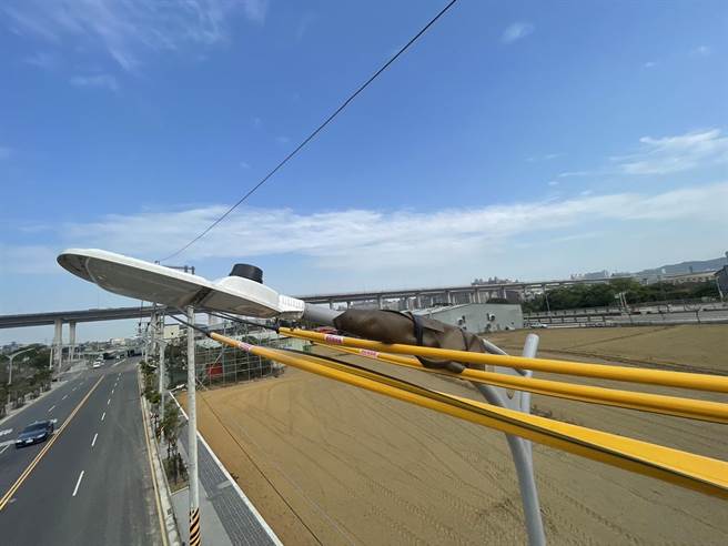 桃園市桃園區經國路、莊敬路今天早上停電，影響4670戶，台電桃園區處指出，停電是因為高壓線鄰近新設路燈桿而被磨破。（台電提供）