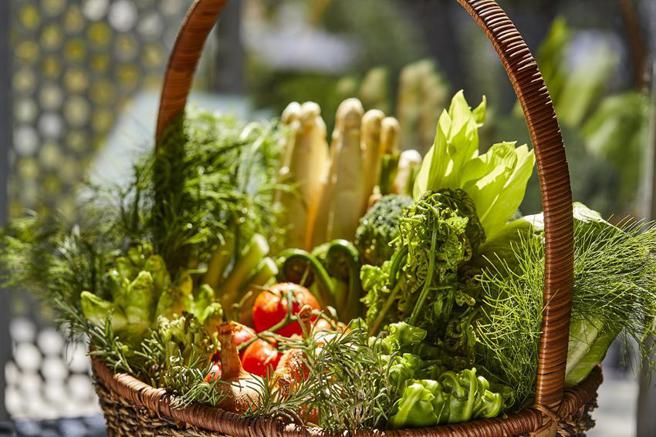 （Ukai-tei Kaohsiung三餐厅推出季节菜单，以逾20种当令食材演绎季节美味。图／高雄晶英国际行馆提供）