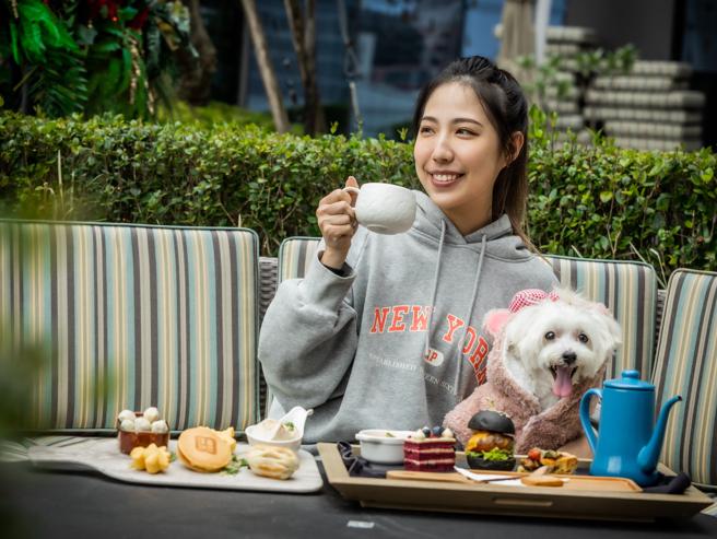 台北大直英迪格酒店sneaKOut BAR户外酒吧将于明（10日）起成为宠物友善餐厅。（台北大直英迪格酒店提供）