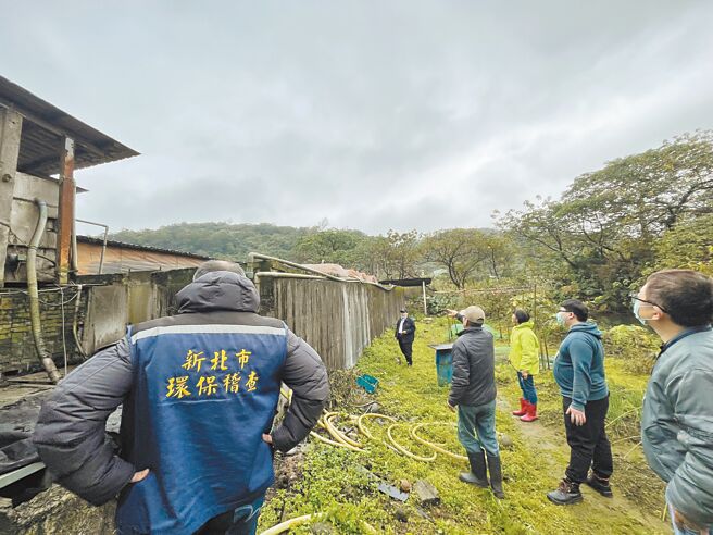 北部主要的黑毛猪养殖区集中在新北市林口的瑞树坑溪流域周围，多年来排放的污水造成溪流严重破坏，虽然新北市农业局积极争取补助改善，但仍有2家畜牧场持续恶意偷排，已遭新北市环保局举发。（民眾提供／黄敬文新北传真）