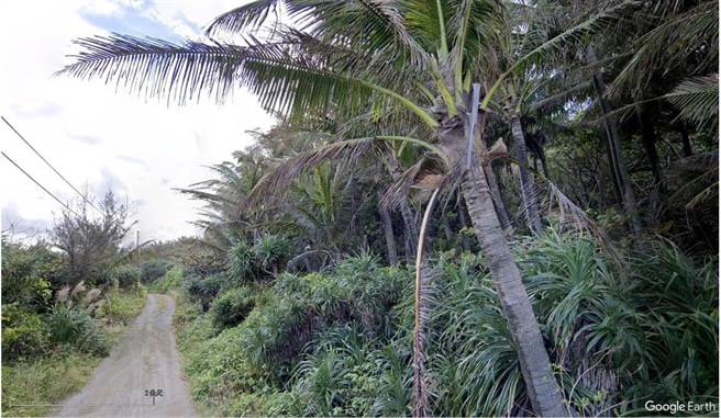 阿塱壹古道施工前(陈椒华办公室提供)