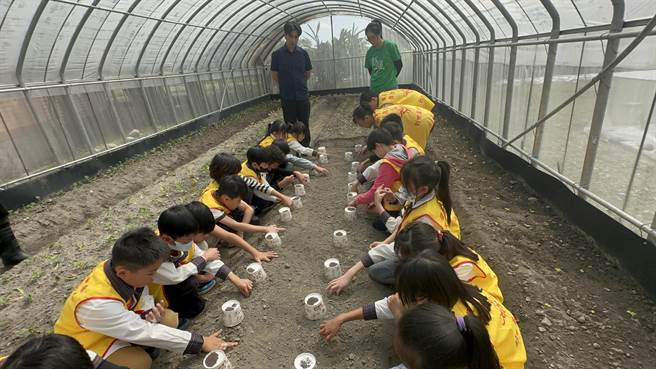 创世基金会罗东分院与员山乡内城国中小举办「植爱种菜」，学童在校园的菜园里种下小白菜种子，盼能协助罗东分院安养的植物人。（创世基金会罗东分院提供／李忠一宜兰传真）