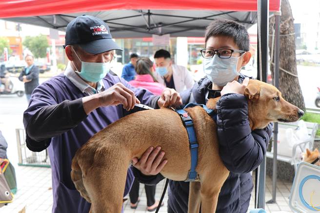 兽医师为狗狗注射疫苗。（嘉义市政府提供／廖素慧嘉市传真）