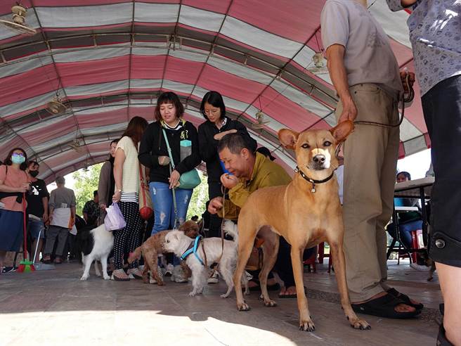 嘉义市是宠物友善城市 常可见饲主带着毛小孩参与活动。（嘉义市政府提供／廖素慧嘉市传真）
