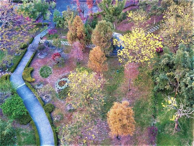 朝陽科技大學指出，校園內種植200種各類植栽，含第三校地估計逾10萬株，一年四季都是賞花的人氣景點。（朝陽科大提供／張妍溱台中傳真